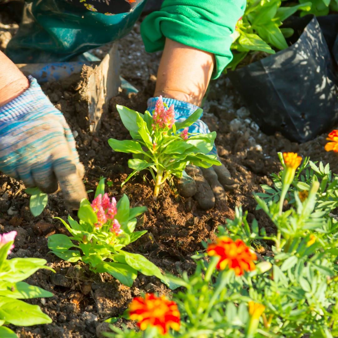 PRL en puestos de jardinería