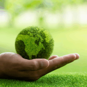 Sensibilización en materia de sostenibilidad-FCOA07